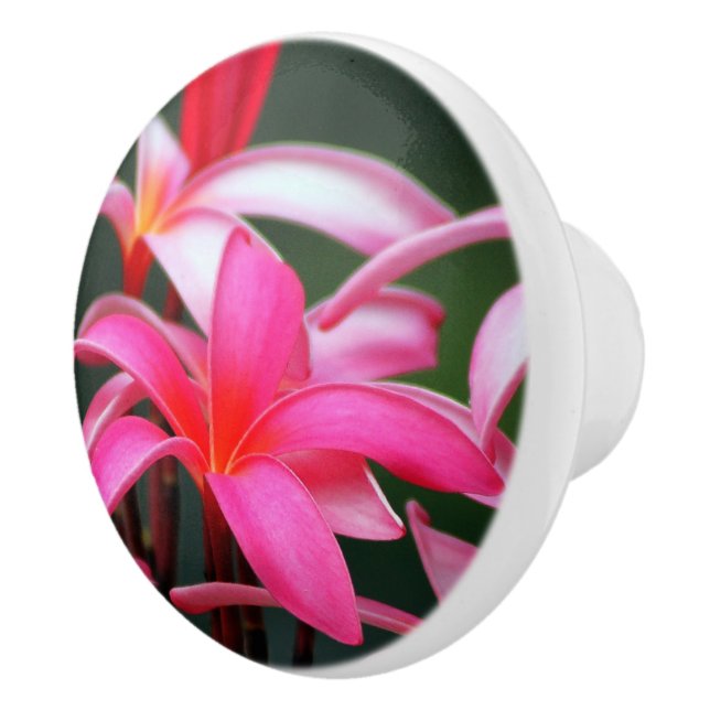 Bouton De Porte En Céramique Traction de tiroir de Plumeria (Droite)