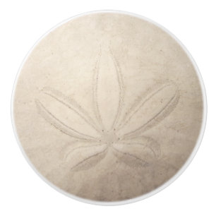 Bouton De Porte En Céramique Traction en céramique du dollar de sable