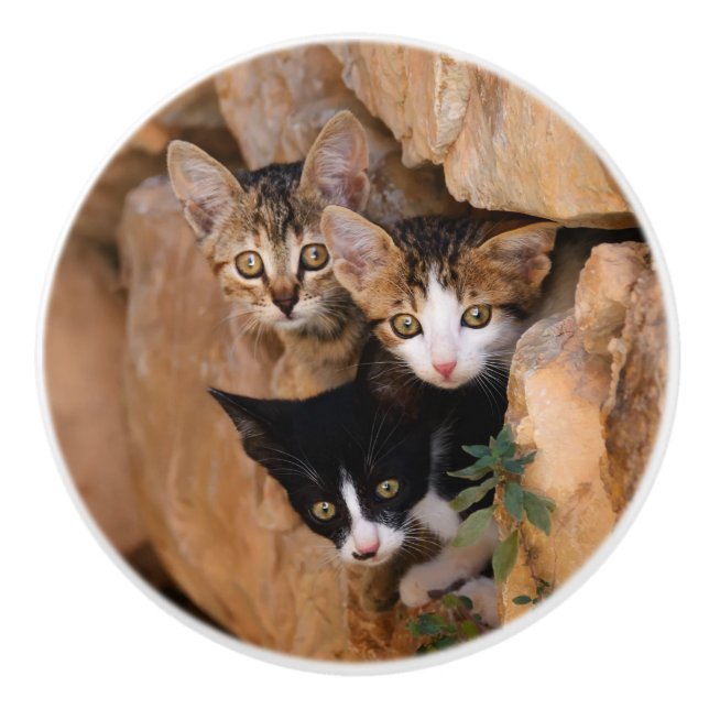 Bouton De Porte En Céramique Trois mignons chatons curieux (Devant)