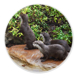 Bouton De Porte En Céramique Trois Otter Adorables,