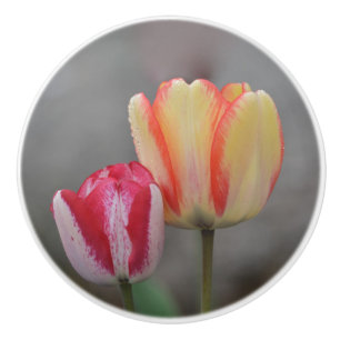 Bouton De Porte En Céramique Tulip Ceramic Knob