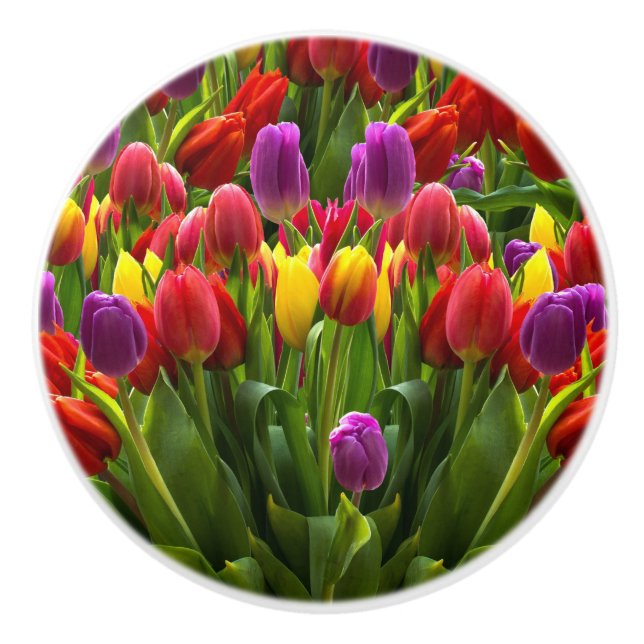 Bouton De Porte En Céramique Tulipes lumineuses (Devant)