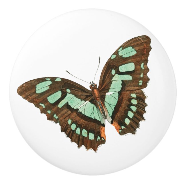 Bouton De Porte En Céramique Turquoise et papillon de brun (Devant)