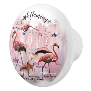 Bouton De Porte En Céramique Typographe rose Flamingo   Customized
