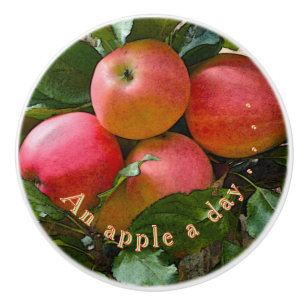 BOUTON DE PORTE EN CÉRAMIQUE "UNE POMME PAR JOUR"./CLUSTER DES POMMES KNOB CÉRA