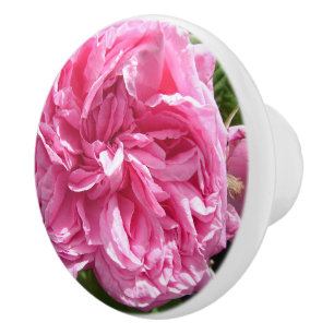 Bouton De Porte En Céramique Vintage Vieux rose Roses Rose Fleur chou fleuri