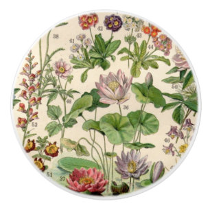 Bouton De Porte En Céramique Vintages Jolies Fleurs Botaniques