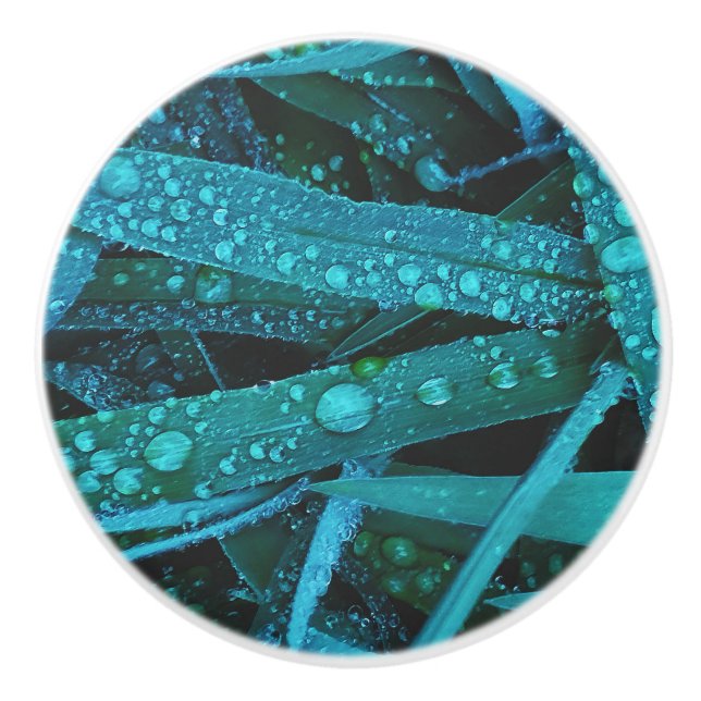 Bouton De Porte En Céramique Water Drops Along the Grass (Devant)