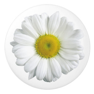 Bouton De Porte En Céramique White Daisy Country Ceramic Pull