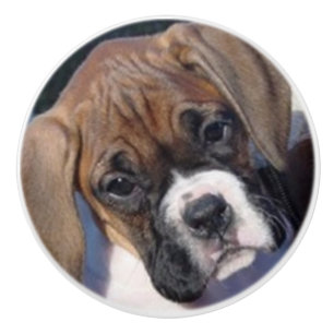 Bouton de tiroir de chiot de boxeur