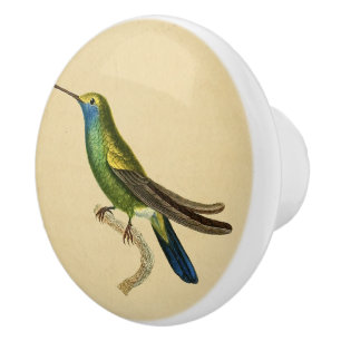Bouton de tiroir vintage Green Hummingbird