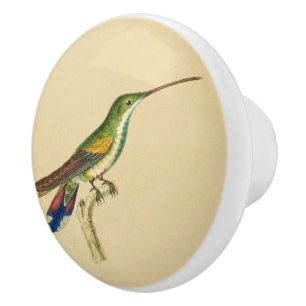 Bouton de tiroir vintage rouge vert colibri