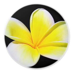 Bouton du tiroir de Plumeria