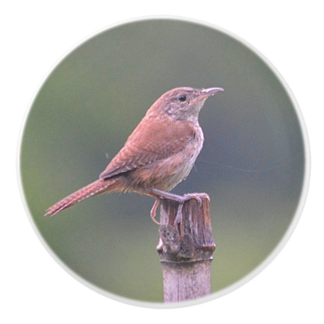 Bouton en céramique Birdie (Devant)