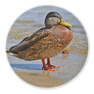 Bouton en céramique de canard