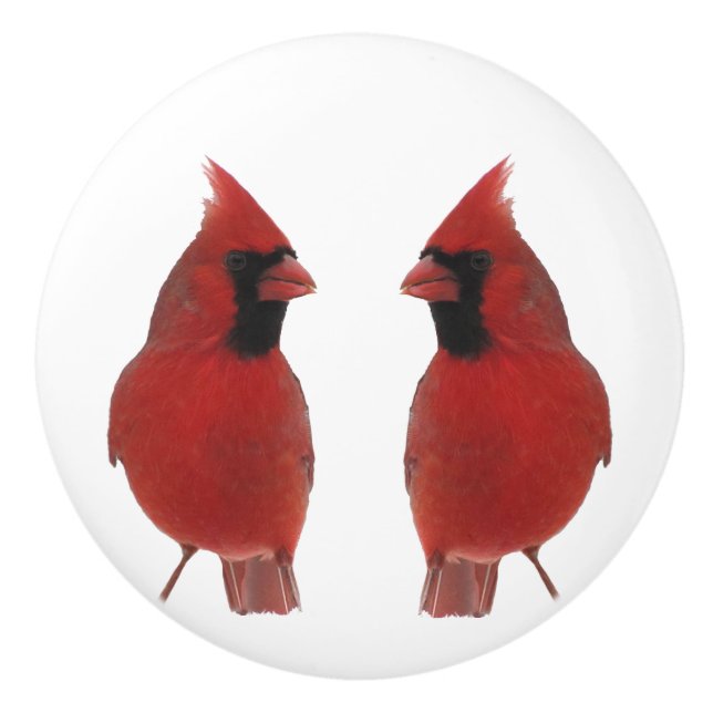 Bouton en céramique de cardinaux (Devant)