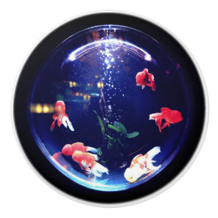 Bouton en céramique de cuvette de poisson rouge