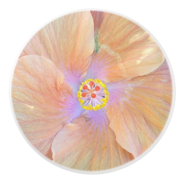 Bouton en céramique de fleur de ketmie (Devant)