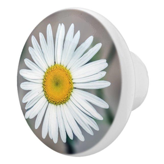 Bouton en céramique de fleur simple de marguerite (Droite)