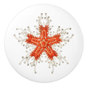 Bouton en céramique de l'étoile rouge