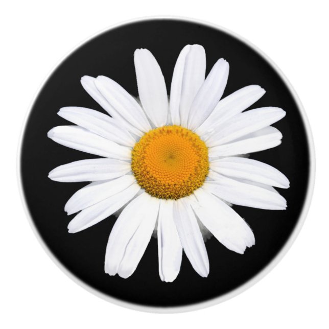 Bouton en céramique de marguerite (Devant)