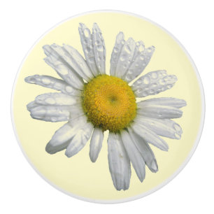 Bouton en céramique de marguerite blanche