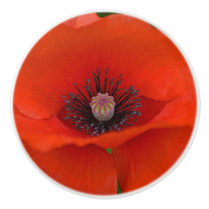 Bouton en céramique de pavot