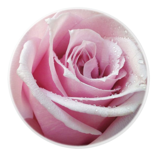 Bouton en céramique floral de rose de rose (Devant)