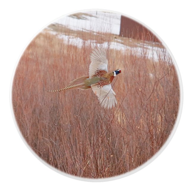 Bouton en céramique personnalisée Pheasant à cou c (Devant)