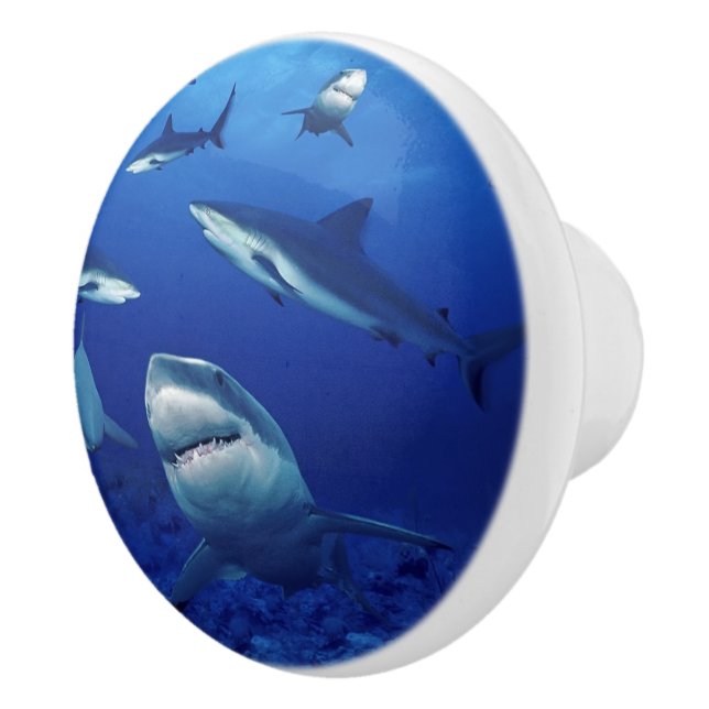 Bouton en céramique requins (Droite)