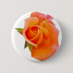Bouton Rose orange / Badge / Broche