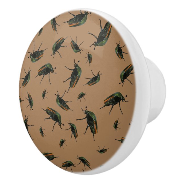 Boutons de insectes (Droite)