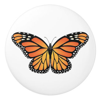 Boutons de tiroir Monarch Butterfly