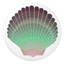Boutons de tiroirs en coquille de mer de plage - S