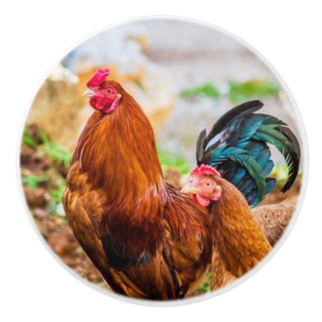 boutons en céramique de coq (Devant)