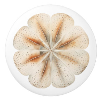 Boutons en céramique décoratifs de plage