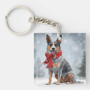 Bouvier Australien dans la neige de Noël
