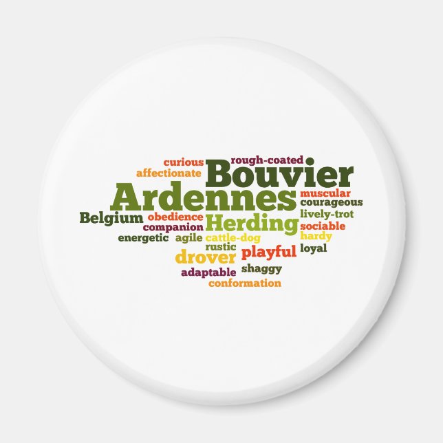 Bouvier des Ardennes Magnet (Front)