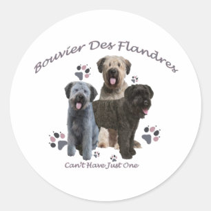 Bouvier Des Flandres Can't Have Just One Classic Round Sticker