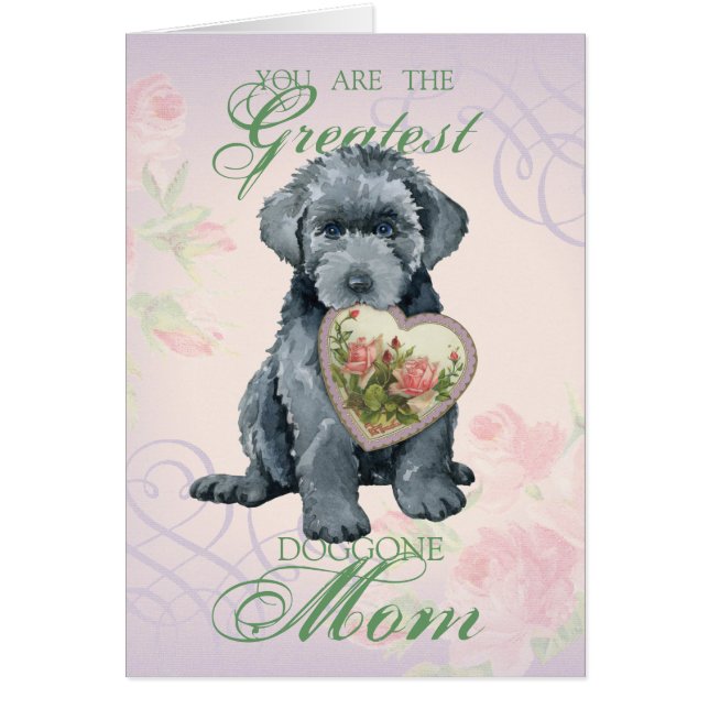 Bouvier des Flandres Cartes cardiaques (Devant)