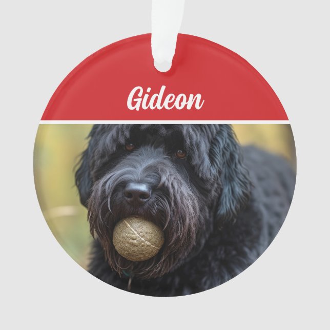 Bouvier des Flandres Chien de vacances Noël (devant)