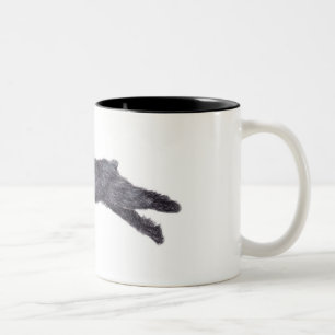 Bouvier des Flandres Dog Art Mug