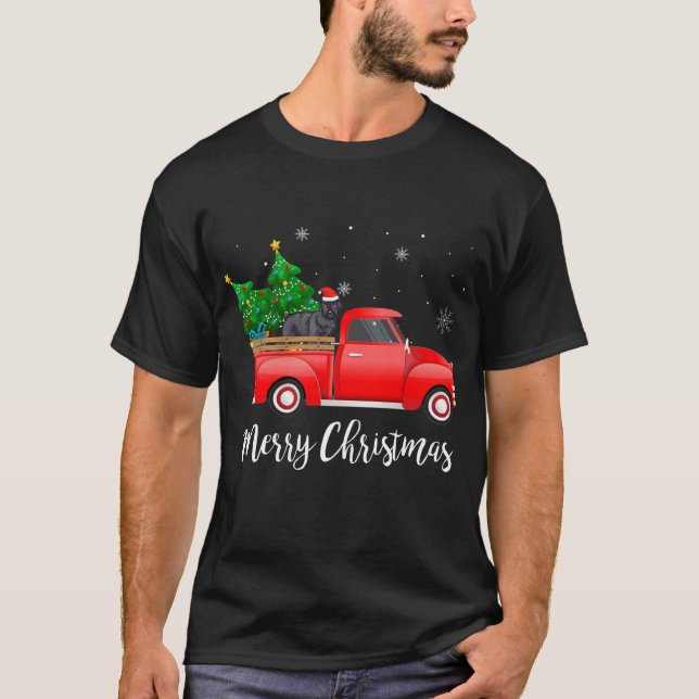 Bouvier Des Flandres Dog Riding Red Truck T-Shirt (Front)