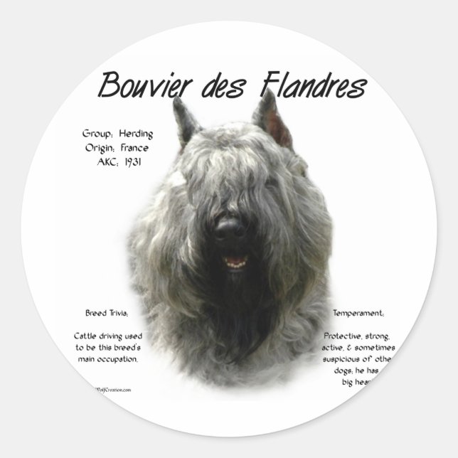 Bouvier des Flandres History Design Classic Round Sticker (Front)