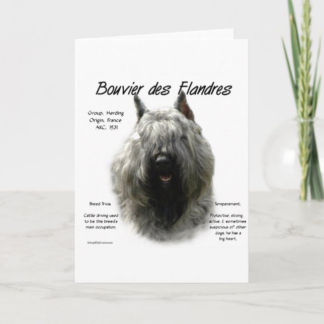 Bouvier des Flandres History Design Holiday Card (Front)