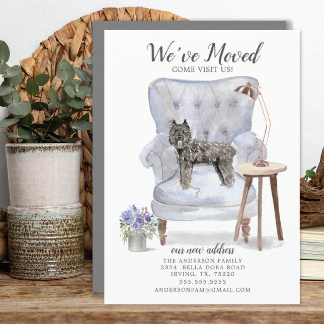 Bouvier des Flandres Moving Faire-part (Créateur téléchargé)