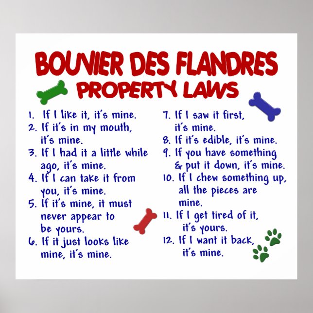 BOUVIER DES FLANDRES PL2 POSTER (Front)
