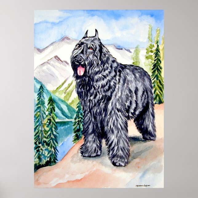 Bouvier des Flandres Wall Print (Front)