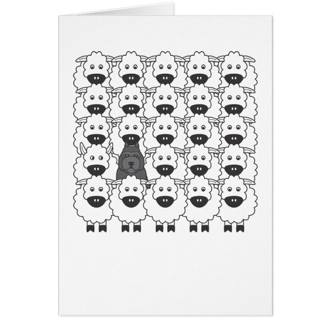 Bouvier in the Sheep (Front)