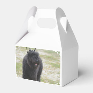 Bouviers des Flanders Favor Box